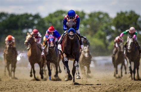 4 horse bet|pick 4 horse bet.